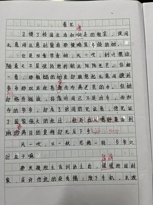 看见为题作文600字
