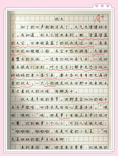 秋天有哪些好玩的？