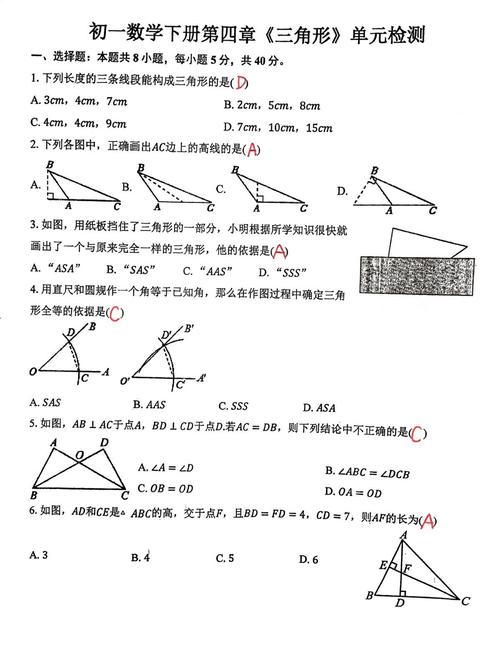 七年级下册数学三角形题