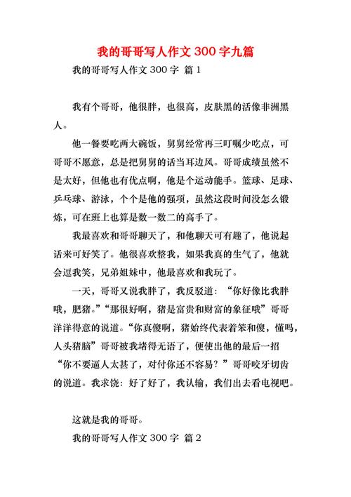 我的哥哥作文300字