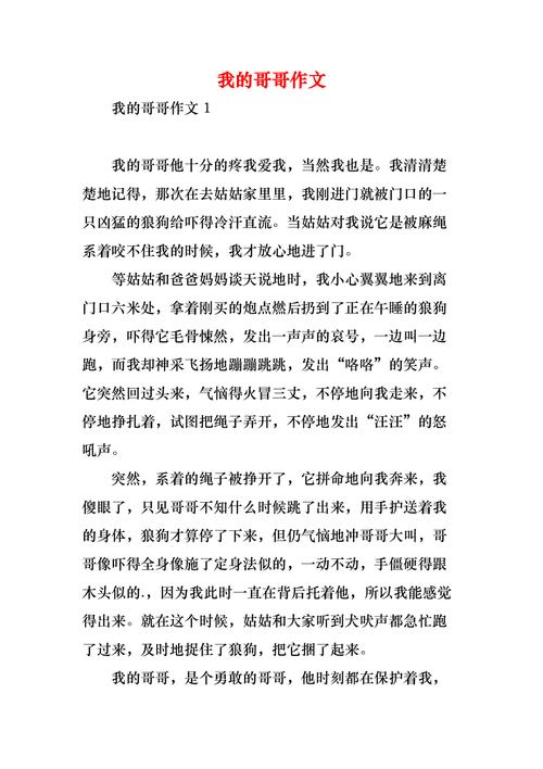 我的哥哥作文300字