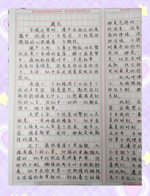《遇见》中考满分作文