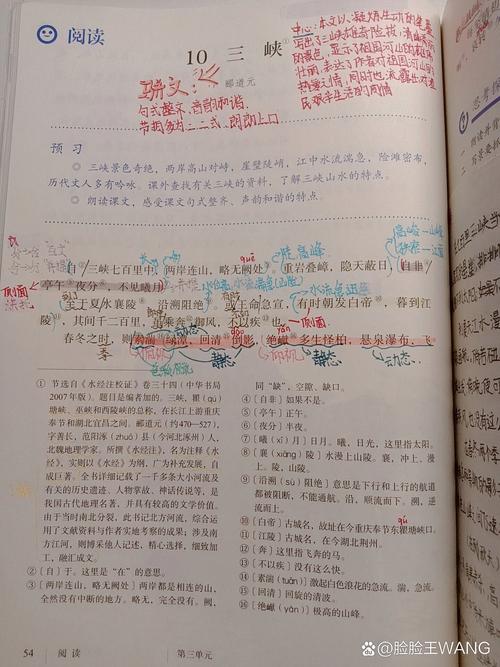 三峡的古诗文阅读答案