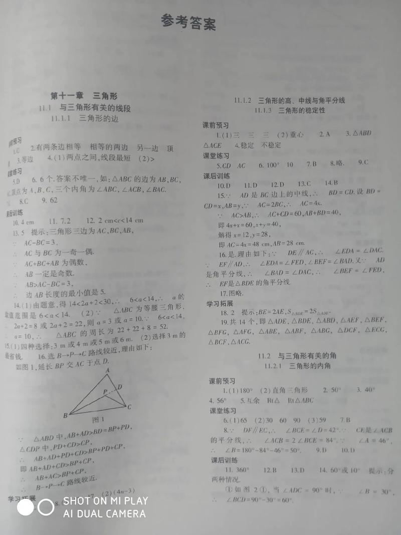 八年级上册数学自主答案在哪里找?