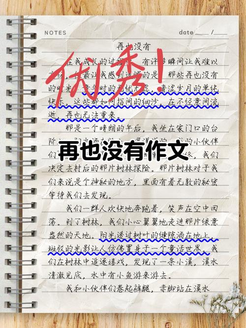 再也没有 初中作文