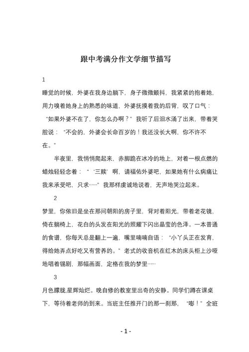 细节描写的满分作文