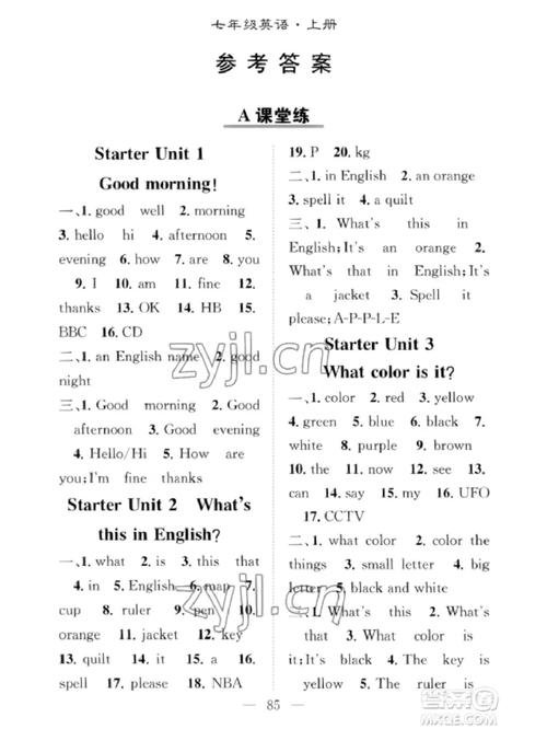 7年级上册英语同步答案