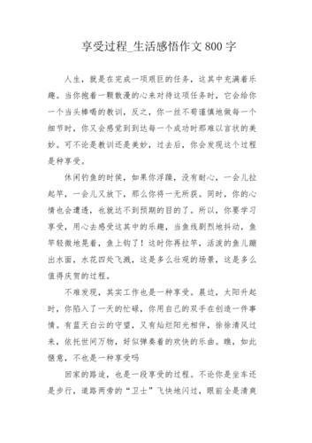 高中作文 享受过程