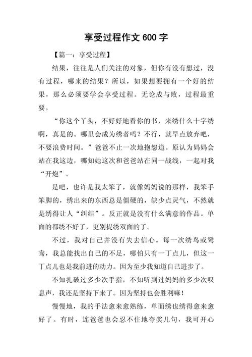 高中作文 享受过程