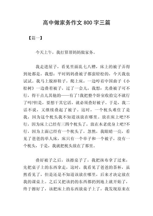 高中作文 享受过程