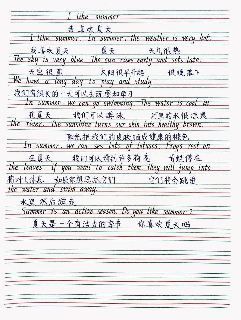 英语优秀作文100