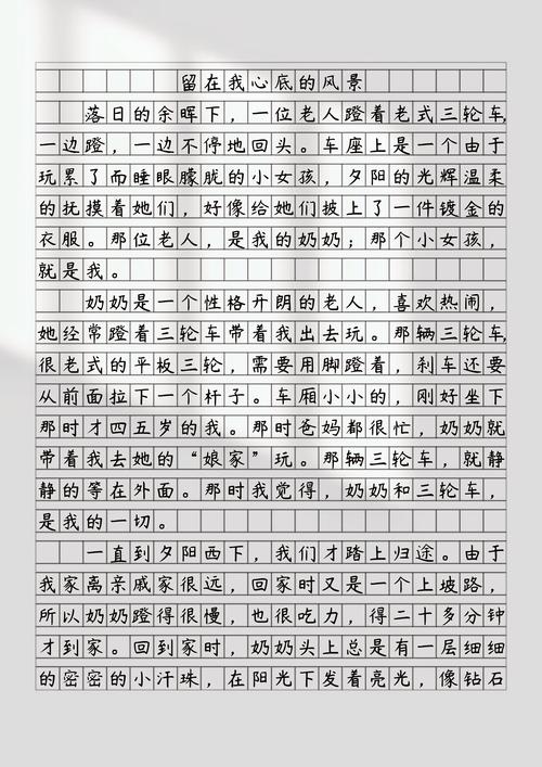 当父母越来越 作文