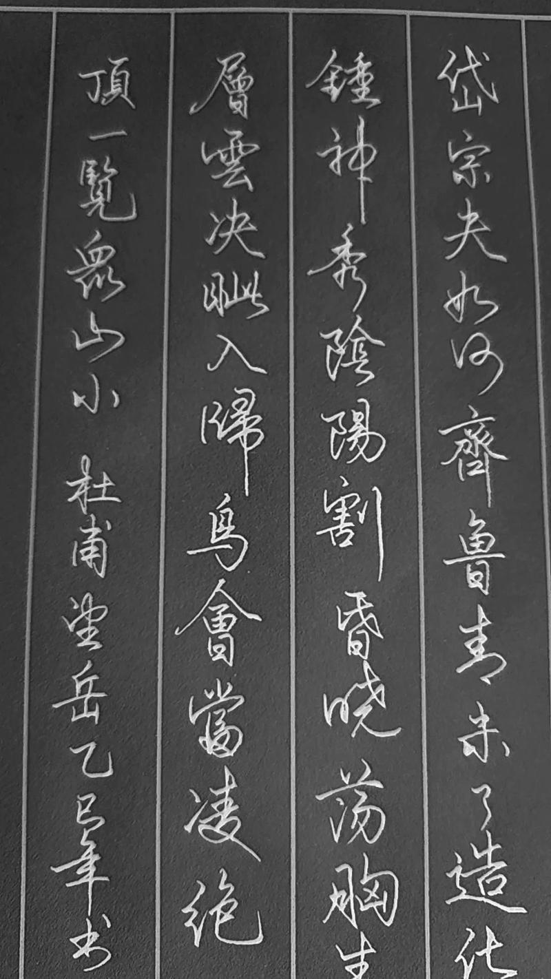 望岳古诗经常考的题目