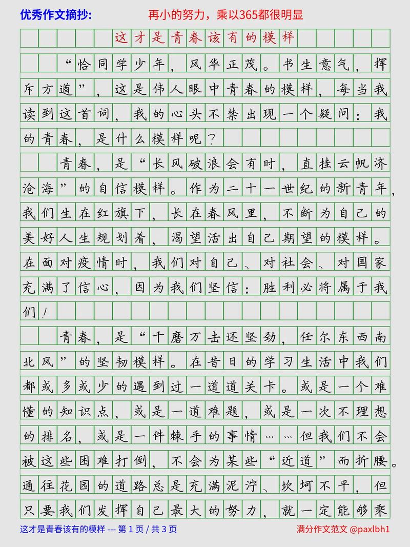 这才是真正的 作文