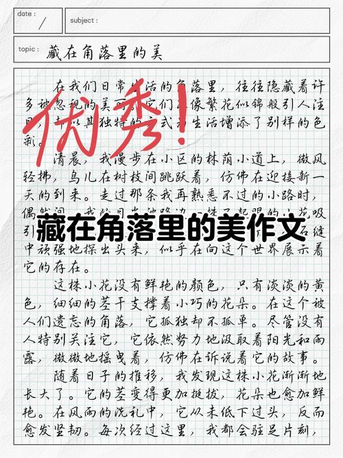 藏在的美究竟藏着什么美？