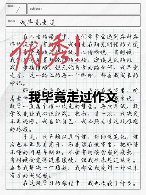 作文 我们毕竟走过