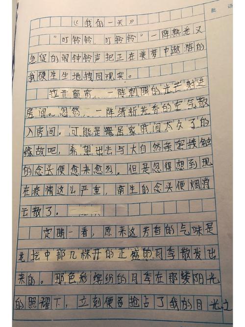 作文题目是我的一天