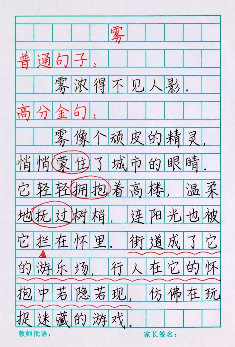 穿过迷雾后，终能看见光吗？