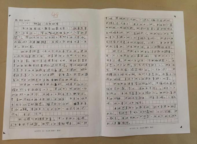 作文那一次让我惊喜