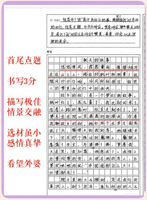 常考的初一作文题目