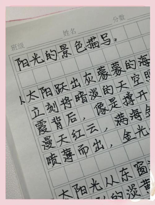 阳光何处来？作文如何写？