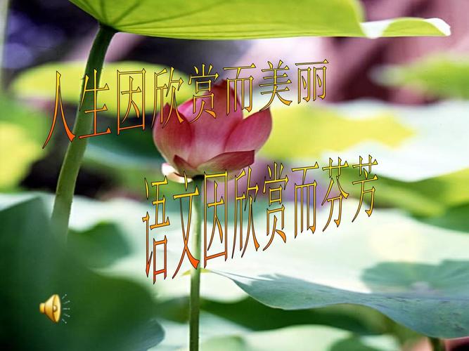 初中作文指导PPT，如何快速提升写作能力？