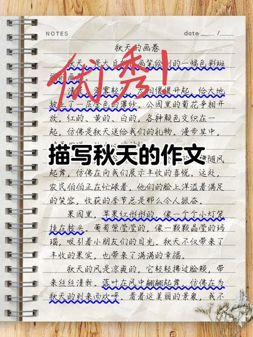 三年级秋天作文300字怎么写？