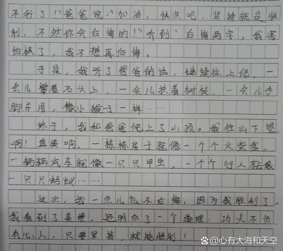 不后悔的那件事作文