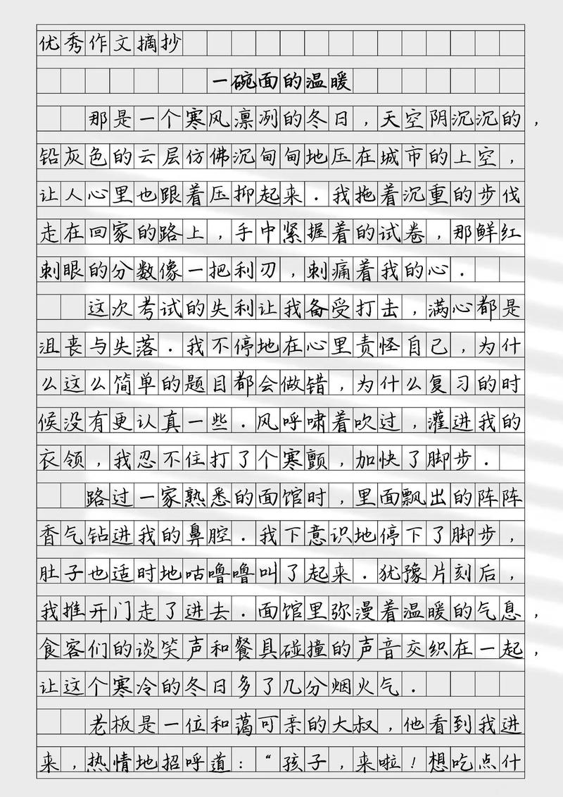 面子的作文800字