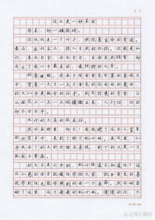 也是一种什么？初中作文的另类主题探索