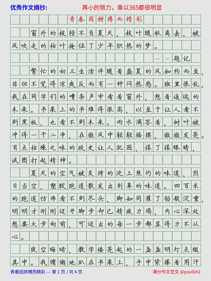 拼搏 为话题的作文