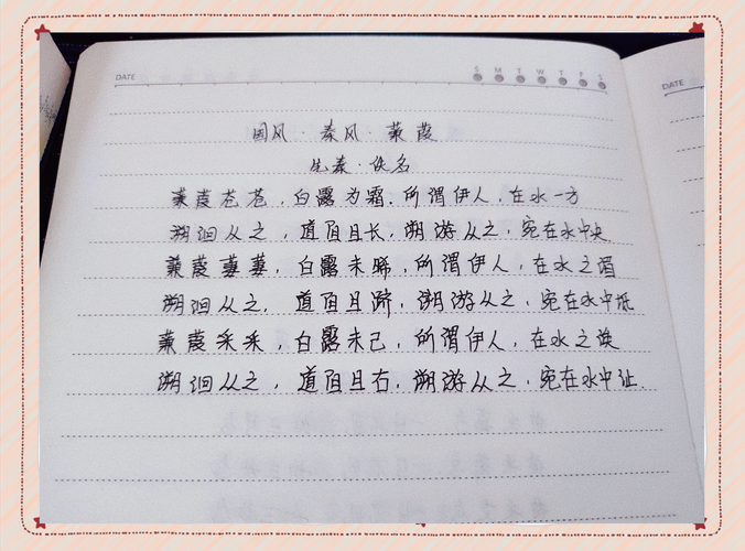 蒹葭的考点古诗文默写