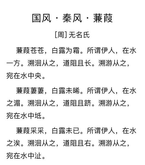 蒹葭的考点古诗文默写