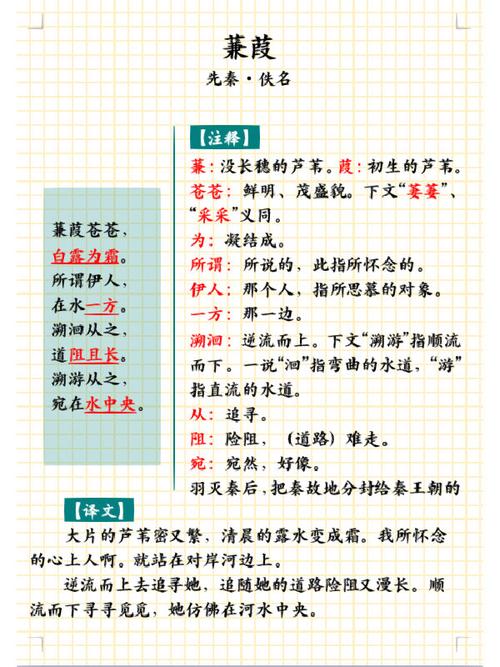 蒹葭的考点古诗文默写