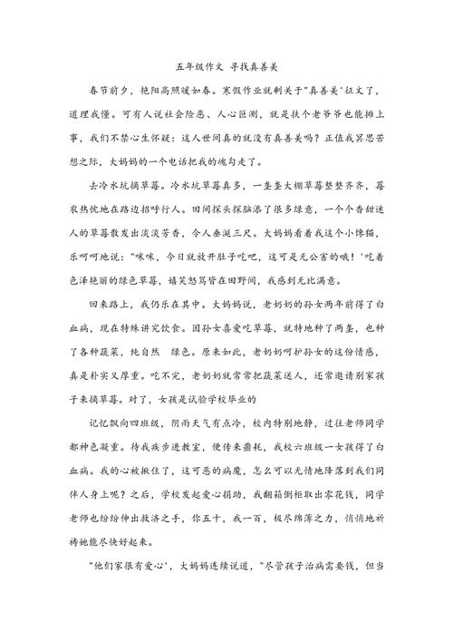 身边的真善美 作文