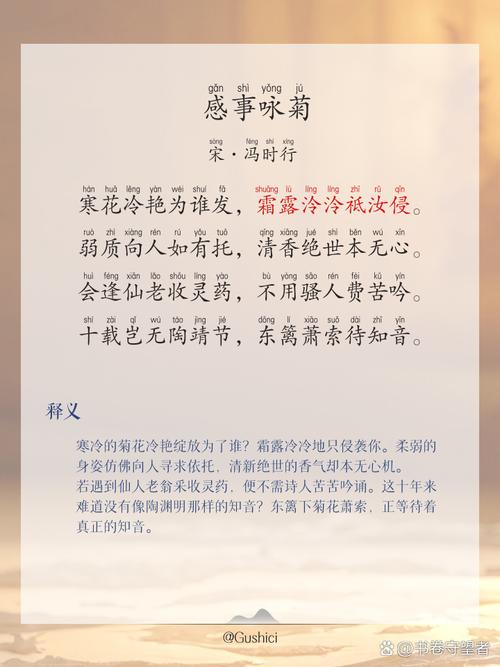 菊在古诗词中究竟承载了哪些多重意象？