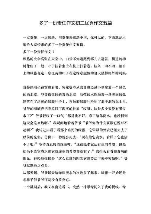 九年级多了一份的作文