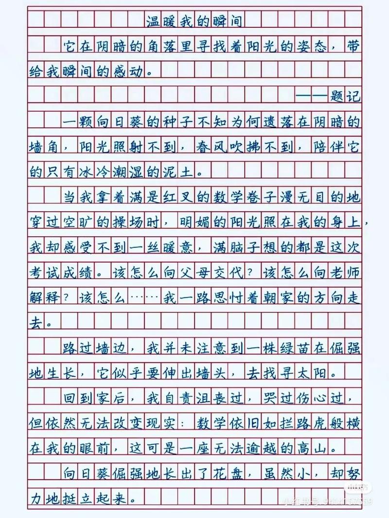 温暖如何成就中考满分作文?