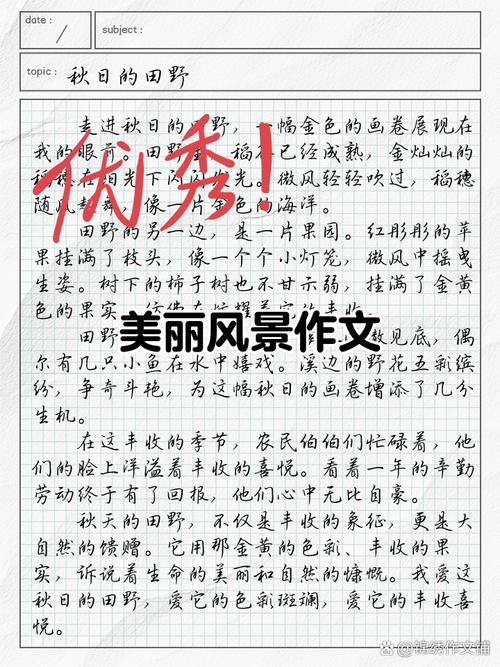 不一样的美丽 作文