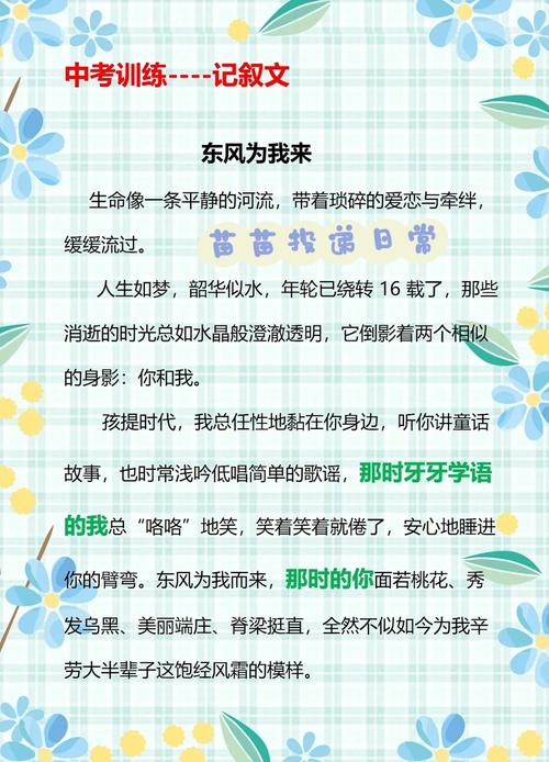 东风为我而来的作文