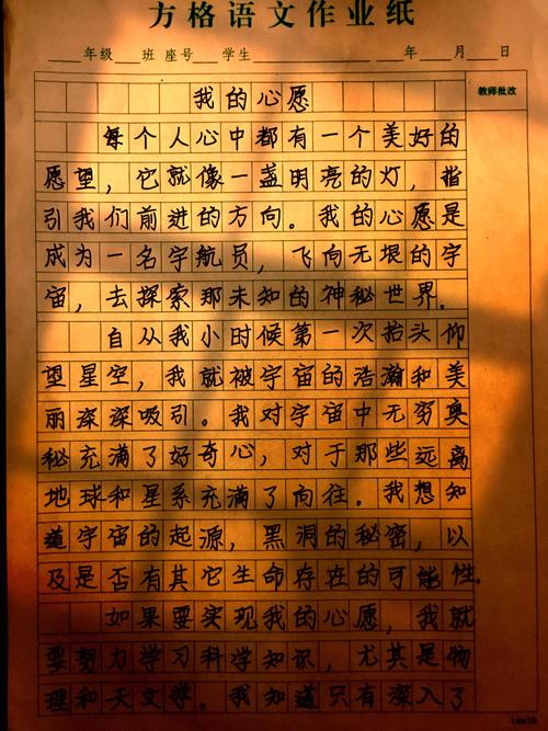 为何多想得到,却总与所得擦肩?