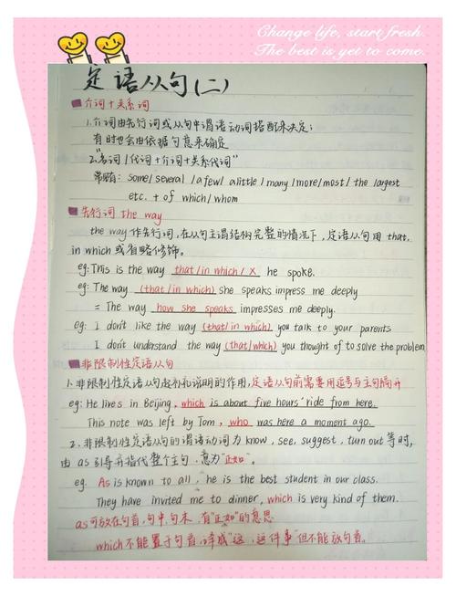 定语从句的英语作文