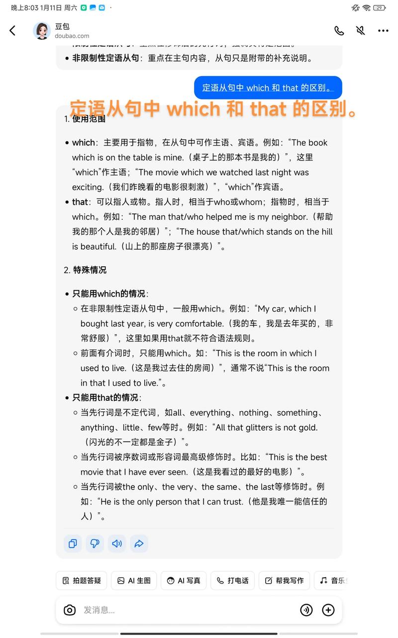 定语从句的英语作文