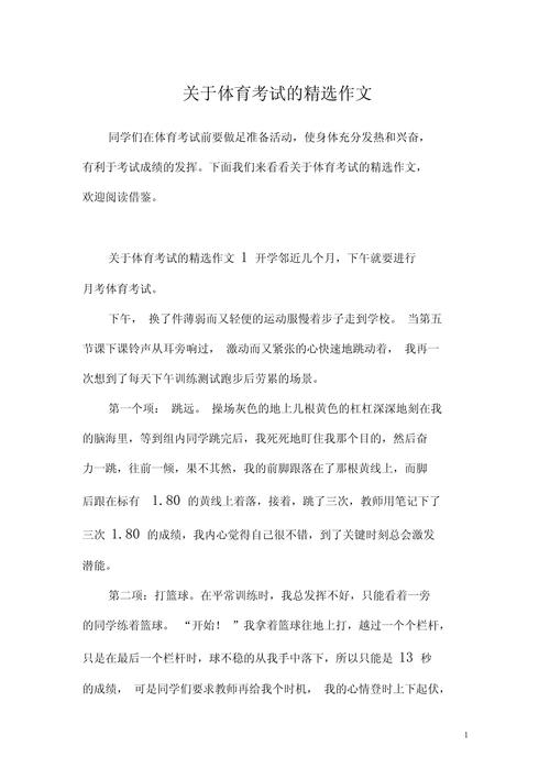 体育中考感受的作文