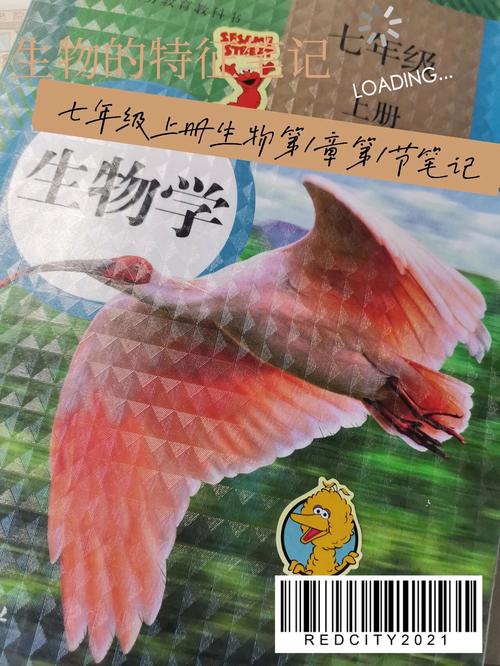 七年级上册生物第一课讲什么？