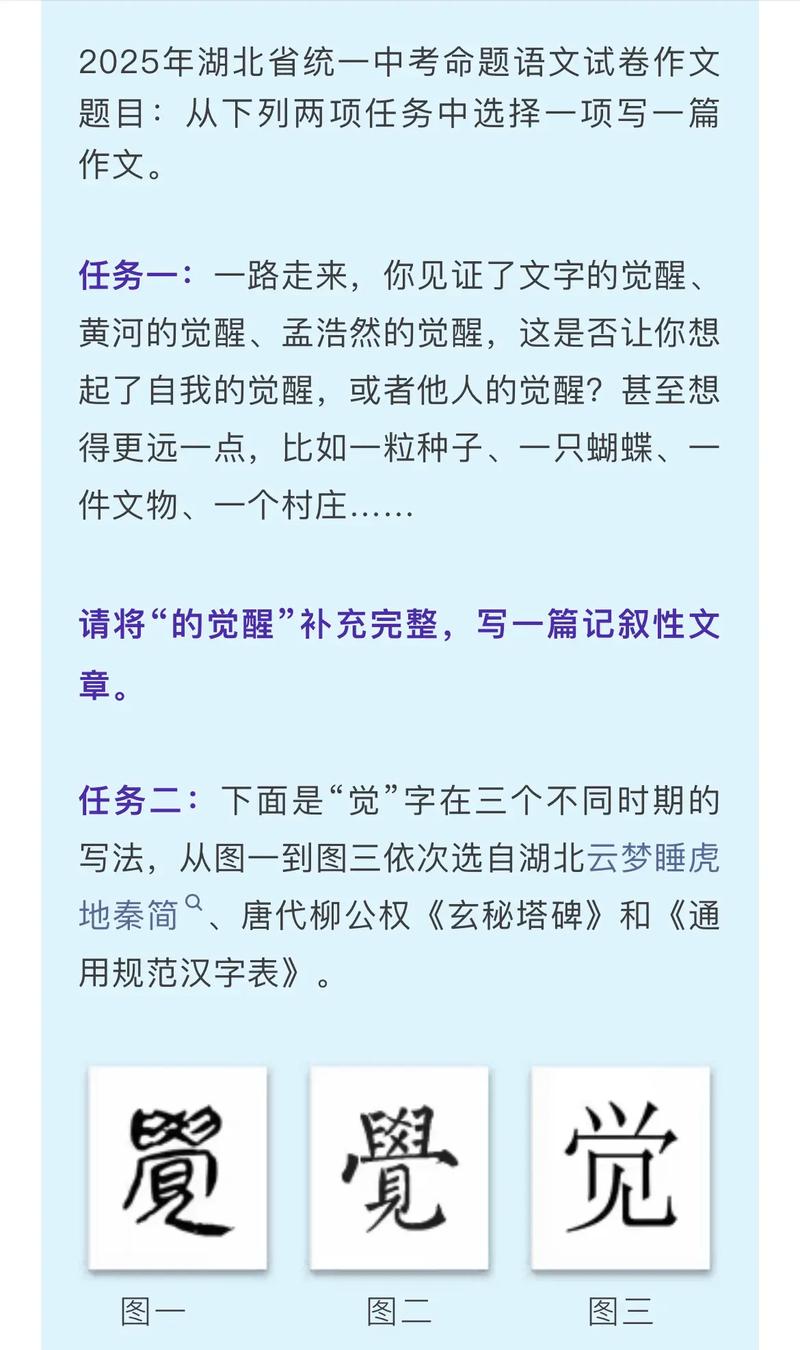 2025湖北作文题