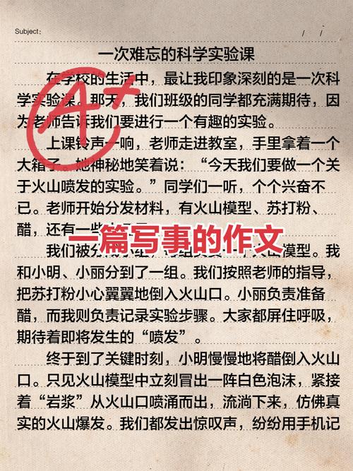 写事细节描写的作文