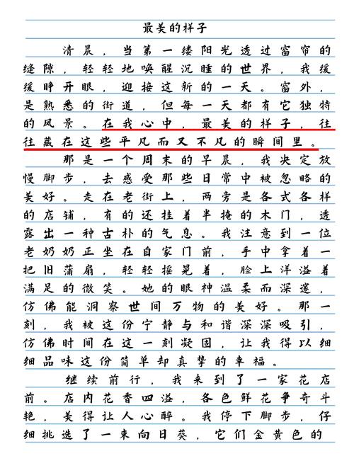 初二作文《最美 
