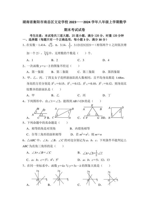 八年级上学期期末专题