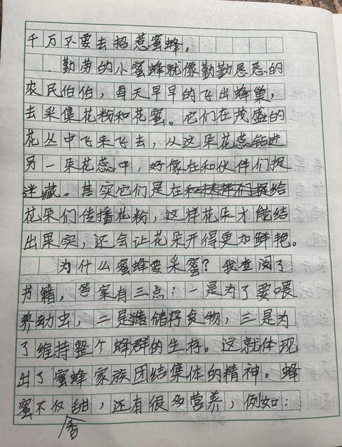 作文 苍蝇 蜜蜂